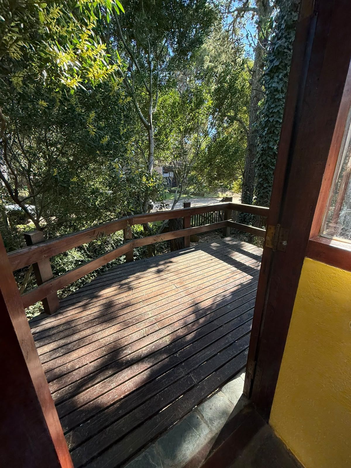 Desde la puerta de madera hacia el deck lateral, con la baranda al sol y el bosque encendido detrás.