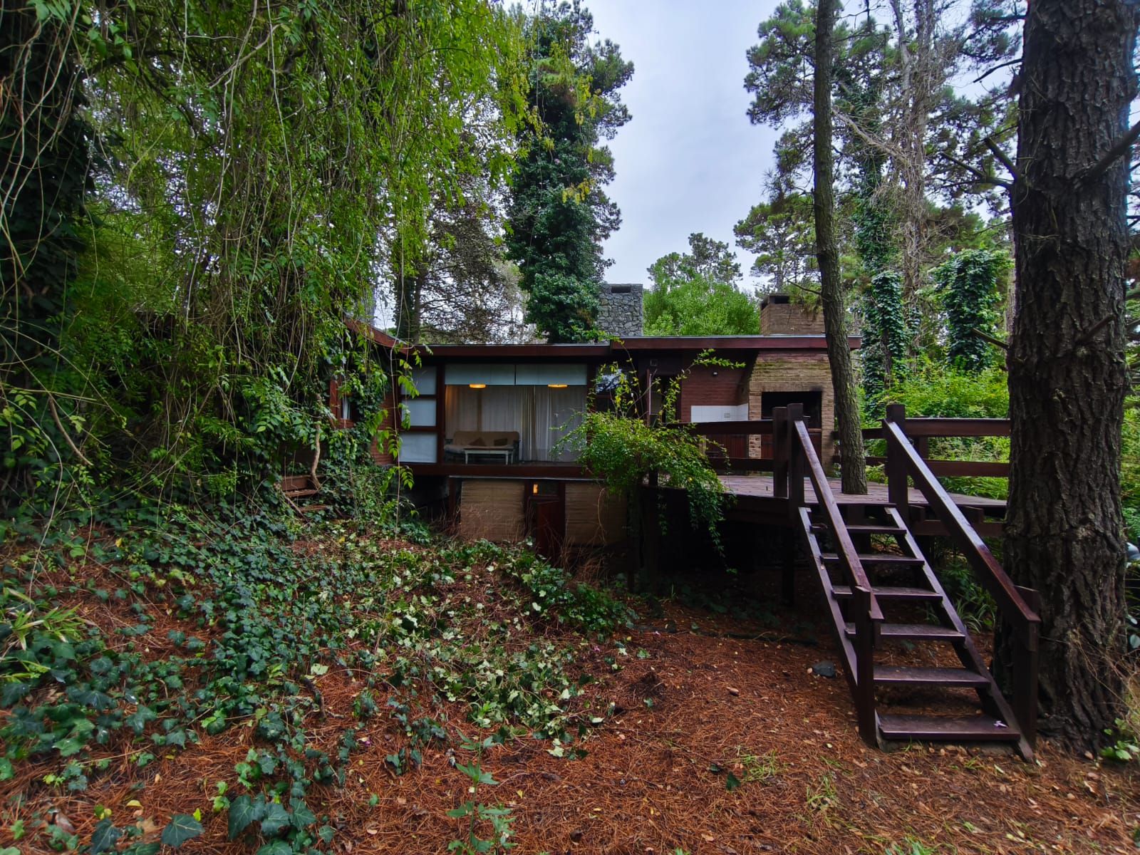 La casa entre pinos altísimos, con el ventanal del living encendido y la escalera de madera que baja al piso de hojas.